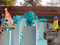 Si planeas aprovechar esta increíble promoción, te recordamos que el Zoológico Guadalajara se encuentra muy cerca de la Barranca de Huentitán. EL INFORMADOR/ ARCHIVO