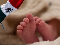 Este fenómeno se repite cada año y no solo muestra un patrón biológico, sino también cultural. ESPECIAL / CANVA