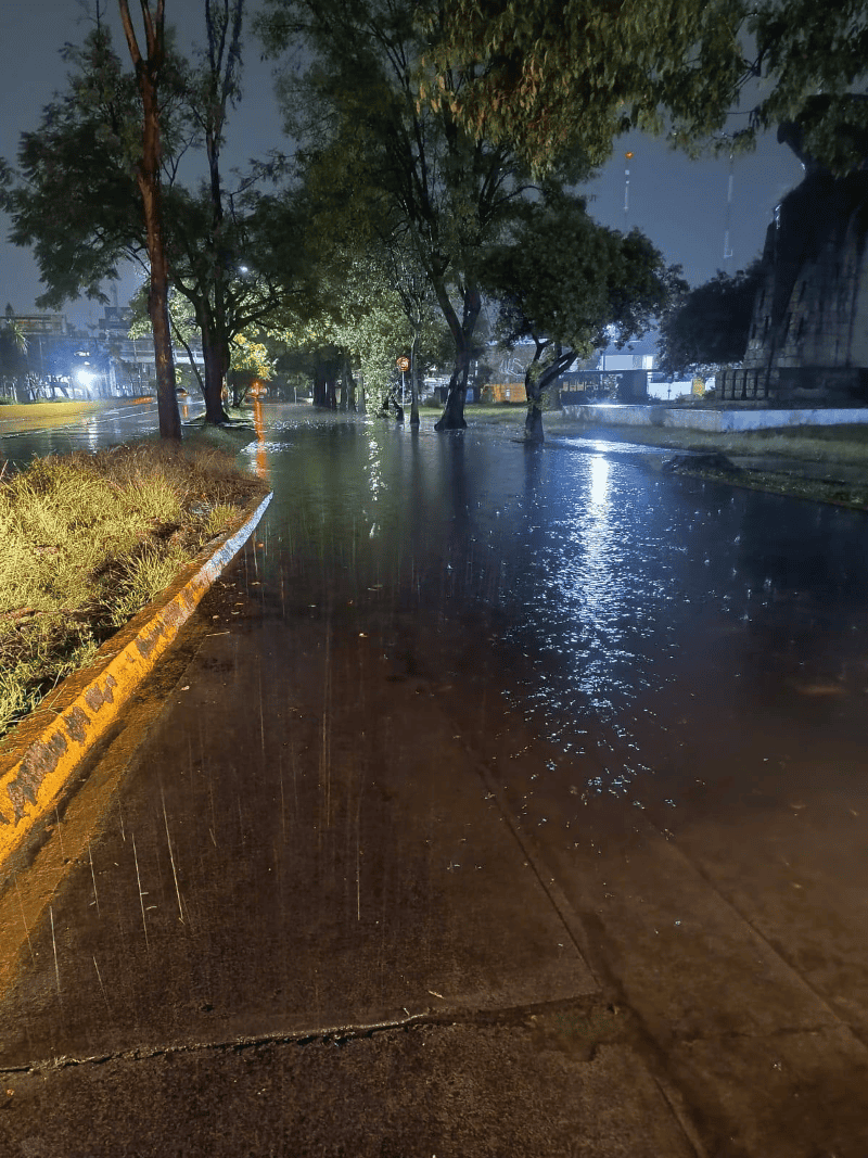  ESPECIAL/Policía Vial