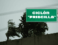Hasta ahora se han formado 15 ciclones tropicales en el Pacífico mexicano;  pronto aparecería "Priscilla". ESPECIAL / CANVA