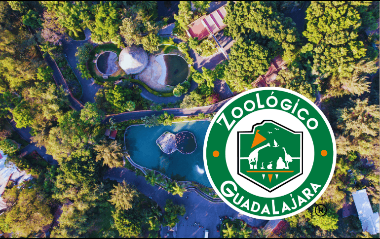 Este mes de octubre, el Zoológico de Guadalajara tendrá entradas para niños en tan solo un peso. EL INFORMADOR/ARCHIVO