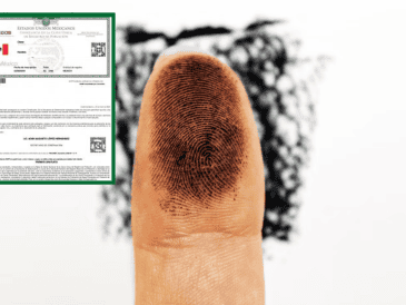 Esta nueva versión de la CURP busca ofrecer una alternativa moderna y segura, especialmente útil para menores de edad o personas que aún no cuentan con credencial de elector. ESPECIAL/ Unsplash