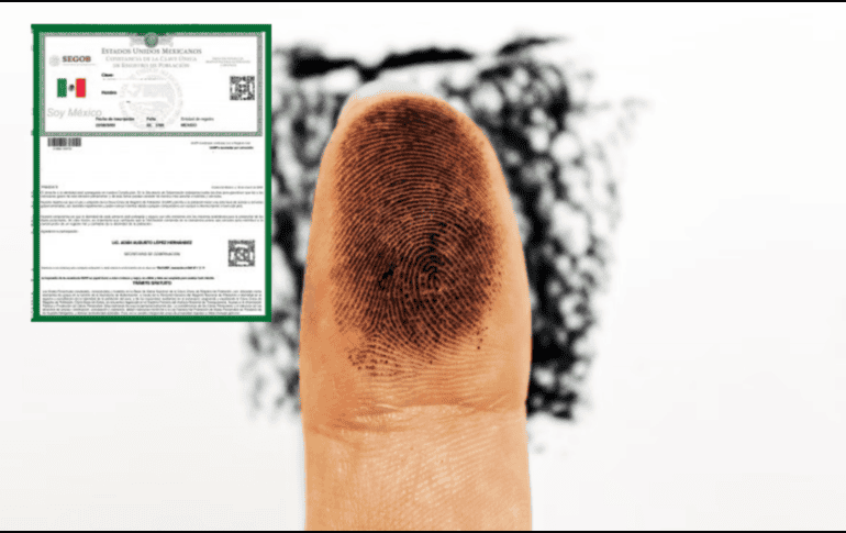 Esta nueva versión de la CURP busca ofrecer una alternativa moderna y segura, especialmente útil para menores de edad o personas que aún no cuentan con credencial de elector. ESPECIAL/ Unsplash