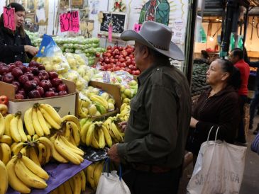 Estas son las frutas y verduras que deberías consumir en octubre. EL INFORMADOR / ARCHIVO