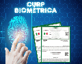 La CURP biométrica incluirá algunos elementos biométricos, como lo es una fotografía digital, el escaneo de iris y huellas dactilares. ESPECIAL / CANVA