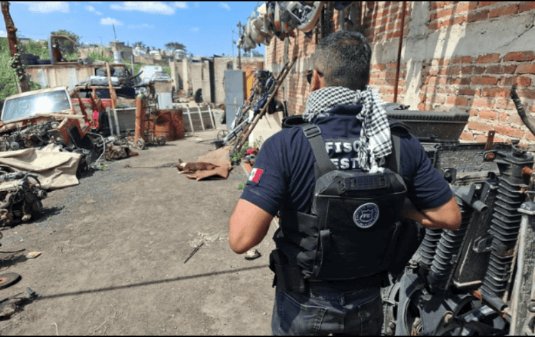 Los elementos de la policía de investigación acudieron a la finca  en Tonalá para cumplimentar un cateo sin imaginar que dentro hallarían fauna silvestre ilegal. ESPECIAL / Fiscalía de Jalisco