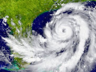 Las rachas fuertes de viento podrían derribar árboles y anuncios publicitarios. CANVA