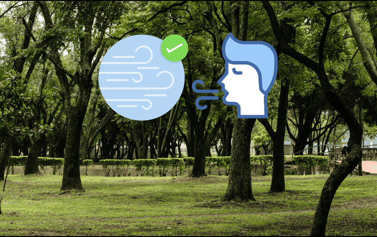 Índice de la calidad por zonas del AMG. EL INFORMADOR / ARCHIVO