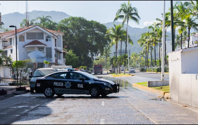 ESPECIAL / Seapal Vallarta