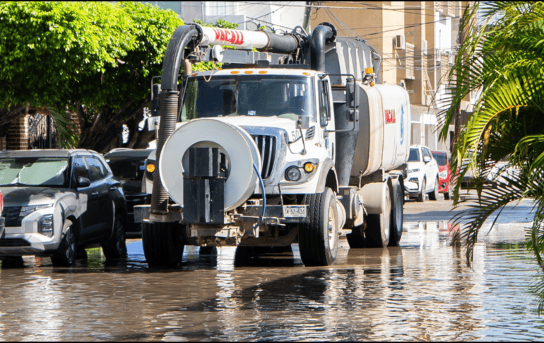 ESPECIAL / Seapal Vallarta