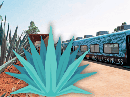 El proyecto nació con la intención de brindar una nueva forma de explorar Tequila, así como para fomentar el turismo y exponer la trascendencia del tequila para la región y para México. EL INFORMADOR / ARCHIVO