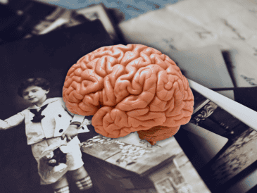 El estudio plantea que no solo las neuronas almacenan lo que las personas experimentan. ESPECIAL / CANVA