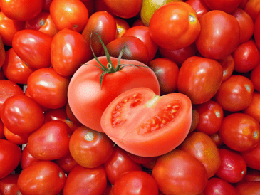 Existe una reducción significativa en la pérdida de peso fisiológico de los tomates cuando se almacenan con ceniza. ESPECIAL / CANVA