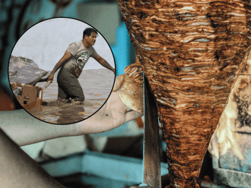 Las inundaciones causadas por las fuertes precipitaciones en diversos estados del país han dejado por lo menos 48 muertos y miles de damnificados. ESPECIAL EFE/M. Victoria