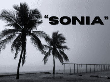 Este fenómeno que avanza podría dar forma a "Sonia", el ciclón tropical número 18 de la presente temporada. ESPECIAL / CANVA