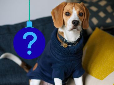 En el espectro social, el azul se opone a colores como el rojo (pasión, peligro, visibilidad) o el amarillo (alegría, riesgo, creatividad). UNSPLASH / B. Griffiths