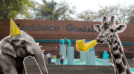 ¡Toma nota! El Zoológico Guadalajara celebra sus 37 años con una promoción increíble. ESPECIAL/ EL INFORMADOR/ ARCHIVO / FACEBOOK/ Zoológico Guadalajara