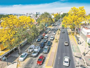 Autoridades de Guadalajara promueven la participación ciudadana en políticas públicas, incluyendo la conservación de áreas verdes. EL INFORMADOR/A. Navarro