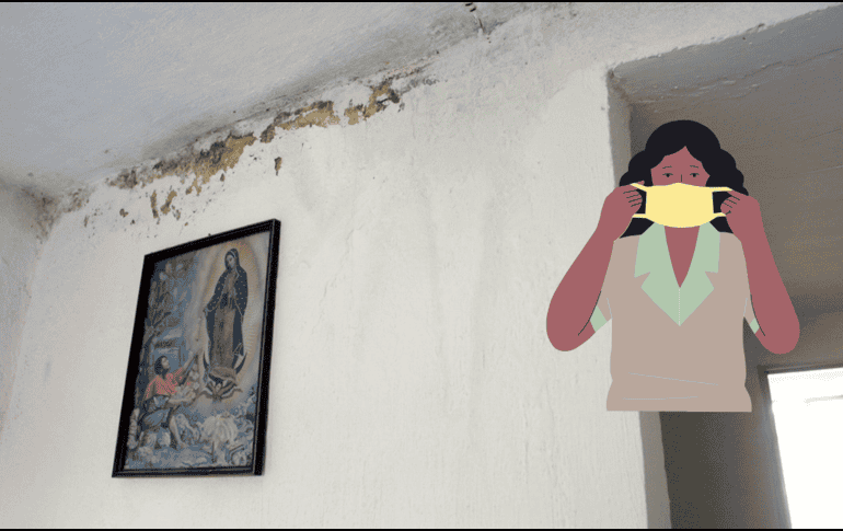 ¿Cómo hacer un deshumidificador casero? EL INFORMADOR / ARCHIVO