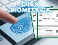 Con la CURP biométrica se buscará combatir la suplantación de identidad, reducir los trámites repetitivos y buscará facilitar la localización de personas desaparecidas. ESPECIAL / CANVA