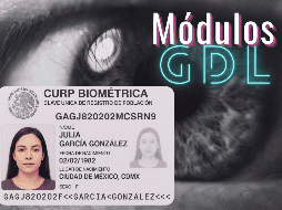 Cabe destacar que el trámite de la CURP Biométrica, será voluntario y totalmente gratuito. ESPECIAL