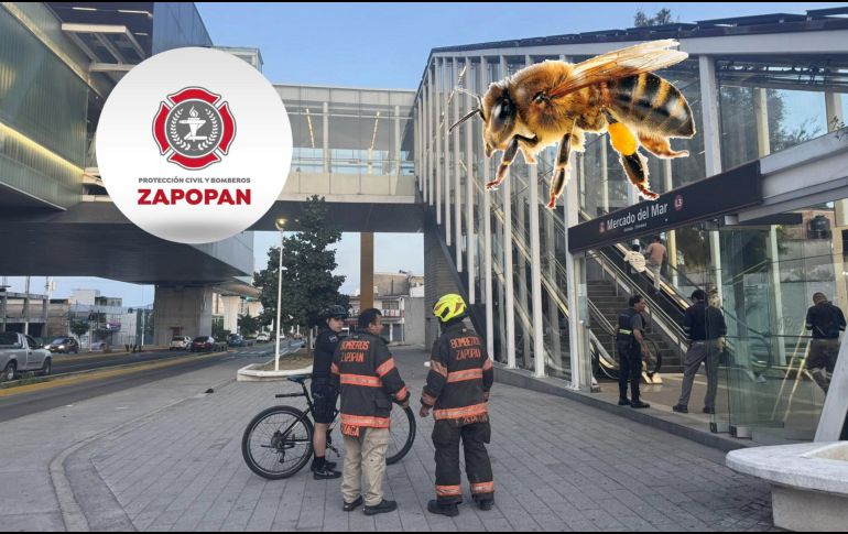 Bomberos de Zapopan atienden ataque de abejas en la estación de Mercado del Mar de la Línea 3 del Tren Ligero. ESPECIAL / FACEBOOK Protección Civil y Bomberos Zapopan