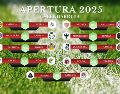 Quienes deseen seguir la Jornada 14 deberán estar atentos, pues algunos partidos se transmitirán solo por streaming, mientras que otros podrán verse en televisión abierta o de paga. ESPECIAL / CANVA