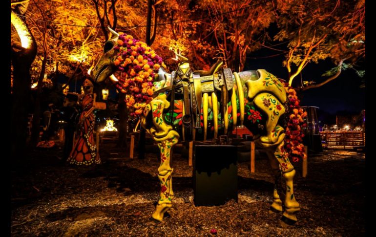 Calaverandia abrirá sus puertas de martes a domingo, con horarios de 19:00 a 00:00 horas los días entre semana y hasta la 1:00 de la madrugada los viernes y sábados. EL INFORMADOR/ A. Navarro