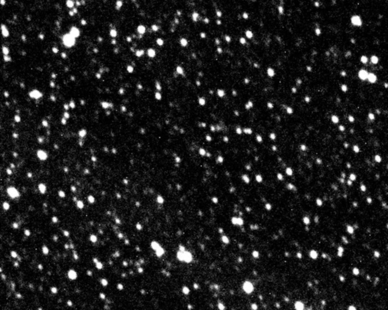  ESPECIAL/Josep M. Trigo (ICE-CSIC/OdM-IEEC), Author provided (no reuse)