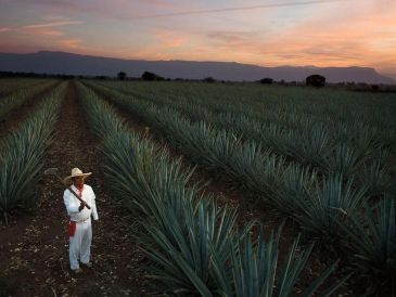 Durante la jornada se rendirá homenaje a los ganadores de la edición 2025 y se conmemorará el décimo aniversario del certamen "100 Imperdibles de México". CORTESÍA