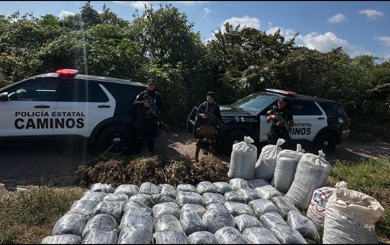 Elementos de la Policía Estatal de Caminos aseguraron diversos paquetes con vegetal verde seco con las características de la marihuana en San Marcos. ESPECIAL