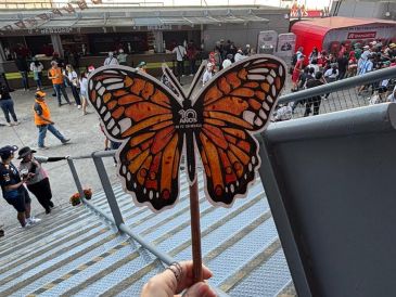 El papel con el que están elaboradas cuenta con semillas de linaza, flor nube y chía, para que puedan crecer en las casas. EL INFORMADOR / P. GALLARDO