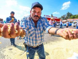 La dependencia del Gobierno Federal ofreció a los productores de maíz llegar a los 6,050 pesos por tonelada, crédito a los productores y seguro agropecuario. EL INFORMADOR/ A. Navarro