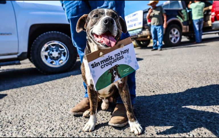 Bloqueo de los maiceros está por cumplir 20 horas. EL INFORMADOR / A. Navarro