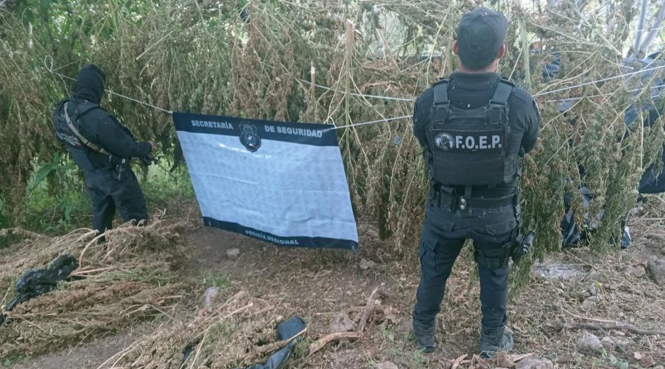 De forma extraoficial se supo que lo decomisado podría ascender a, al menos, 11 millones de pesos. ESPECIAL / Secretaría de Seguridad