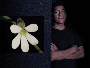 El hallazgo fue confirmado tras análisis de ADN y comparaciones morfológicas con otras especies conocidas, explicó Jorge David López-Pérez, doctorando del CUCBA. UDEG