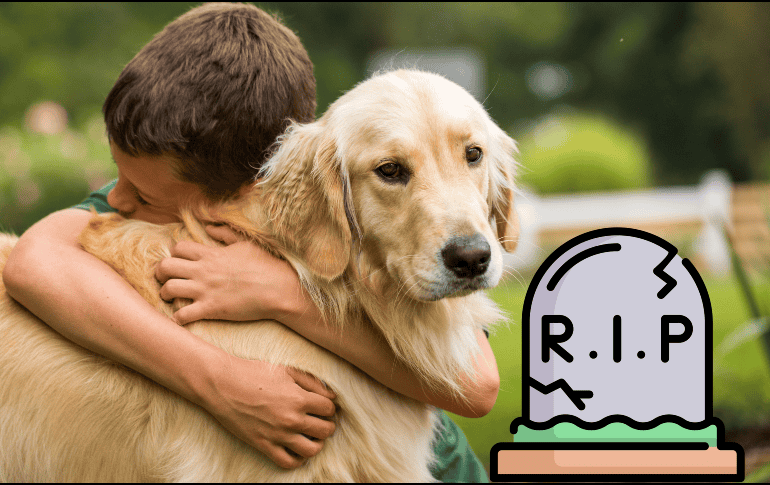 La relación con una mascota es única porque está llena de momentos de compañerismo, lealtad y amor incondicional.  ESPECIAL / CANVA