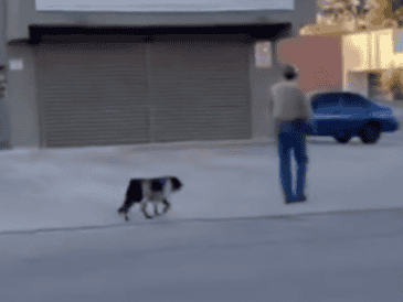 De acuerdo con la fecha que aparece en la grabación, el incidente habría ocurrido el pasado 28 de octubre, en una de las calles principales de la colonia, ubicada en la capital del estado. ESPECIAL