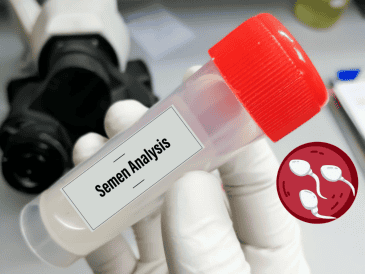 El descubrimiento de que el esperma humano envejece y acumula mutaciones (algunas de las cuales se expanden y dominan con el paso del tiempo) representa un avance significativo en el entendimiento de la genética reproductiva y su impacto en las futuras generaciones. CANVA