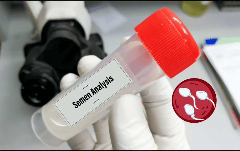 El descubrimiento de que el esperma humano envejece y acumula mutaciones (algunas de las cuales se expanden y dominan con el paso del tiempo) representa un avance significativo en el entendimiento de la genética reproductiva y su impacto en las futuras generaciones. CANVA