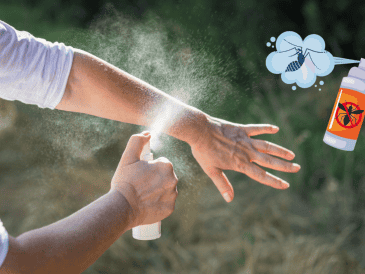 Con estos sencillos pasos, podrás mantener alejados a los mosquitos de forma natural y disfrutar de las noches de verano sin molestias ni picaduras. CANVA