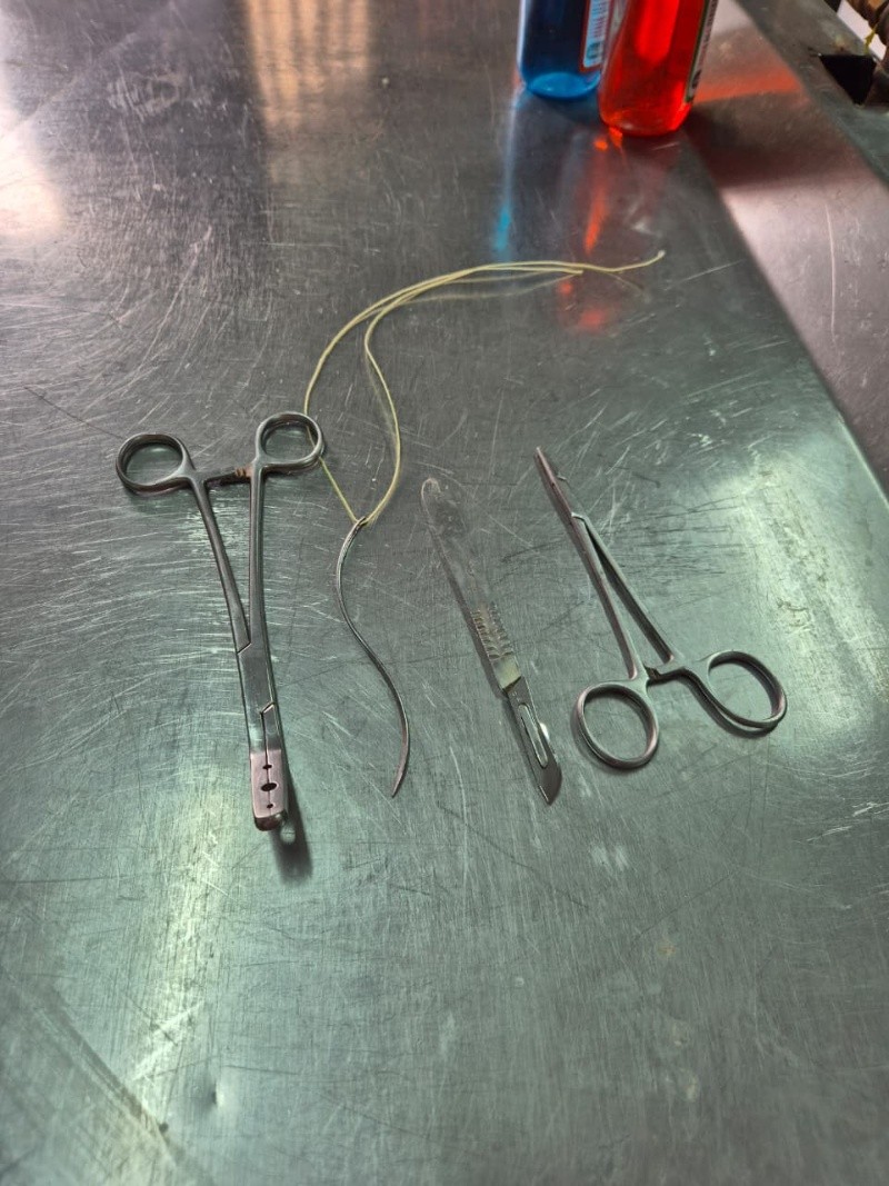 Su labor requiere precisión, respeto y una sensibilidad que pocos comprenden, porque entre líquidos, suturas y silencios se reconstruyen no solo rostros, sino memorias. EL INFORMADOR / R. Bobadilla 