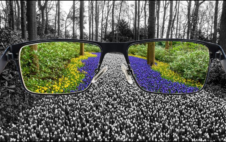 El examen más utilizado para diagnosticar esta condición es el test de Ishihara, una serie de láminas con círculos de colores que contienen números o figuras formados por puntos. CANVA