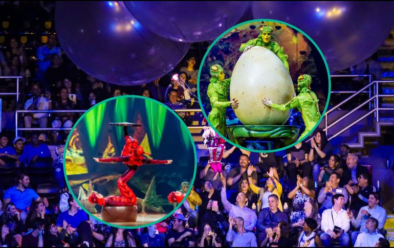 En OVO, el nuevo espectáculo del Cirque du Soleil, los insectos trabajan, comen, revolotean y juegan, mostrando la belleza de su universo oculto. EL INFORMADOR / ARCHIVO / ESPECIAL / Cirque du Soleil