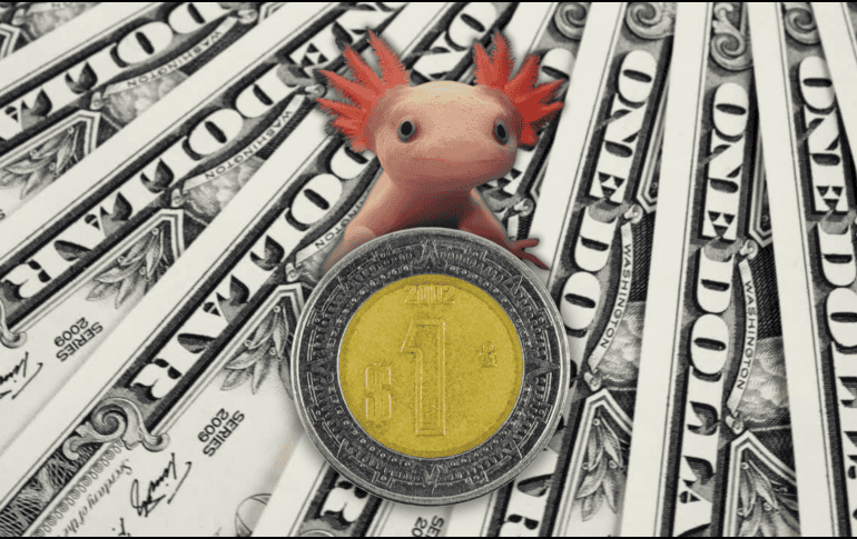 Es importante recordar que la cotización del dólar se actualiza a lo largo del día, por lo que es necesario revisarla constantemente si se requiere para alguna ejecución financiera. ESPECIAL / CANVA