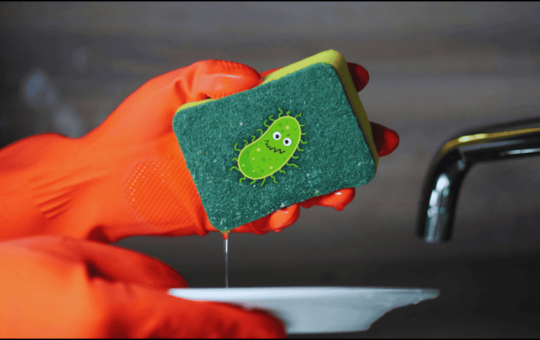 La esponja utilizada en la cocina puede convertirse en un foco de bacterias si no se limpia correctamente. ESPECIAL / CANVA