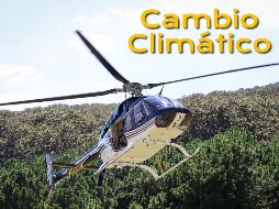 La situación de los bosques alrededor del mundo es dispar. EL INFORMADOR / ARCHIVO