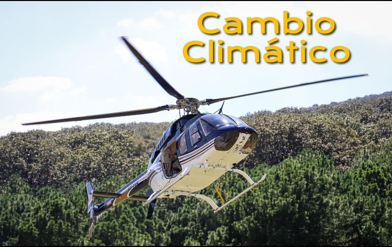 La situación de los bosques alrededor del mundo es dispar. EL INFORMADOR / ARCHIVO