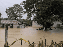 Se elevó a 83 el número de fallecidos en México debido a las inundaciones registradas a principios de octubre. SUN / ARCHIVO