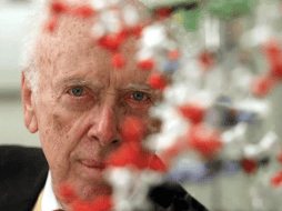 En 1953, con 25 años, Watson ayudó a determinar la estructura del ADN junto al físico Francis Crick, basándose en datos de la química Rosalind Franklin, el biofísico Maurice Wilkins y sus compañeros del King's College, en Londres. AP / ARCHIVO